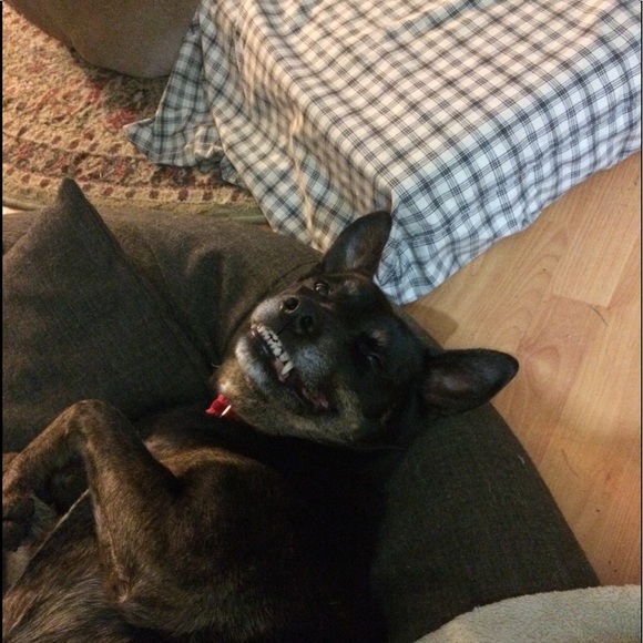 Meet your Posher, Kiersten - Picture 2 of 11